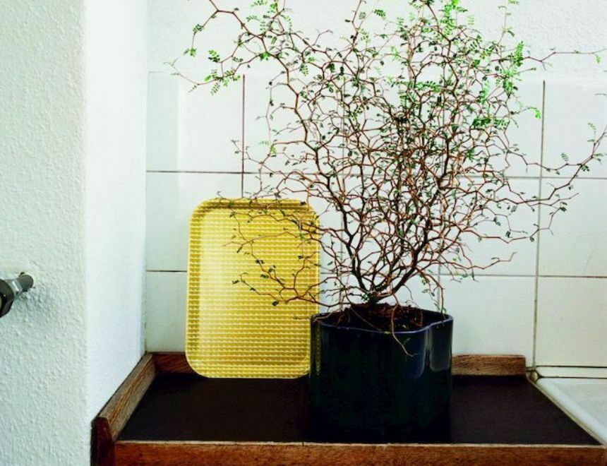 Rivi Tray Yellow